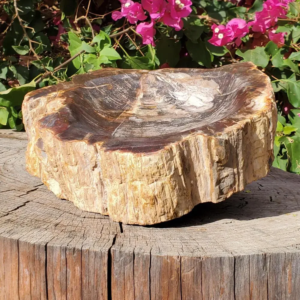 13lbs+ Red Brown XL Petrified Wood Fossilized Bowl 6210 grams